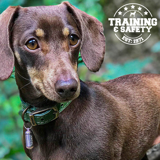 Dog Collar Aluminium ID Tube