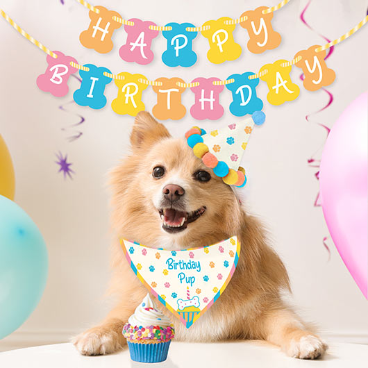 Birthday Pup Gift Box