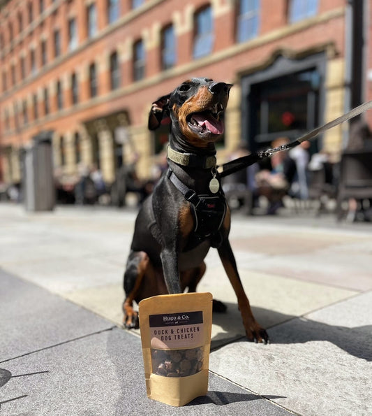 Hugo & Co Dog Treats